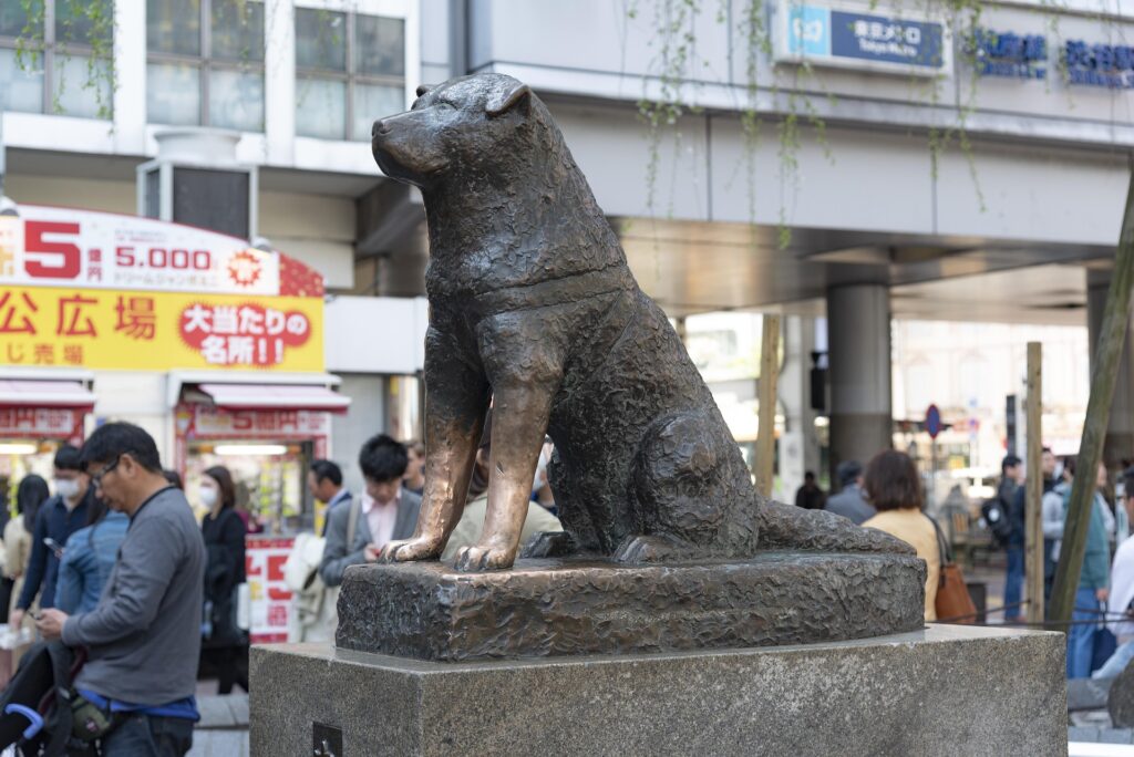 Hachiko Shibuya Japon